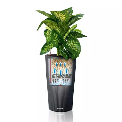 Cilindro Color - system nawadniający - schemat działania