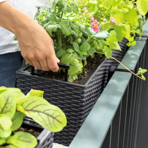 Wyjmowany wkład w donicy Balconera Cottage