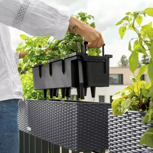 Wyjmowany wkład w donicy Balconera Cottage