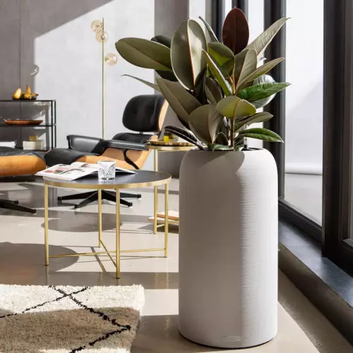 Fikus w donicy Havalo w kolorze szarobeżowym