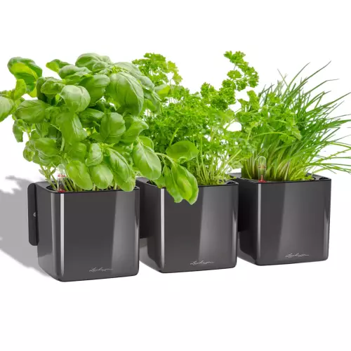 Zioła w antracytowej donicy Lechuza Cube Glossy Home Kit