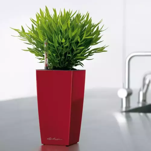Czerwona doniczka Lechuza Maxi-Cubi