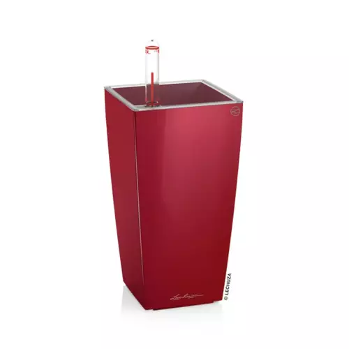 Czerwona doniczka na biurko - Mini-Cubi