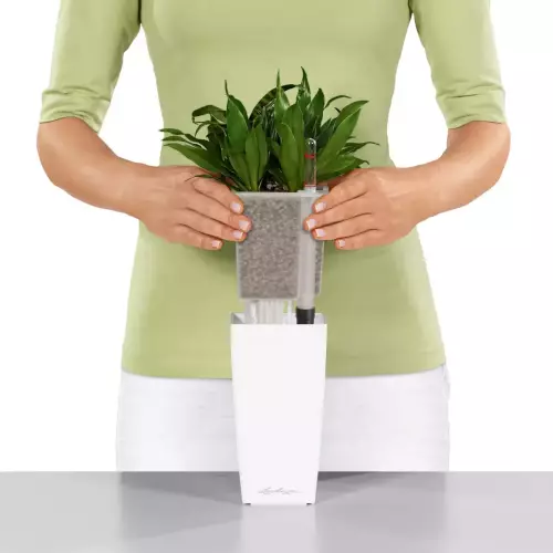 Wyjmowany wkład w doniczkach Lechuza Maxi-Cubi i Mini-Cubi