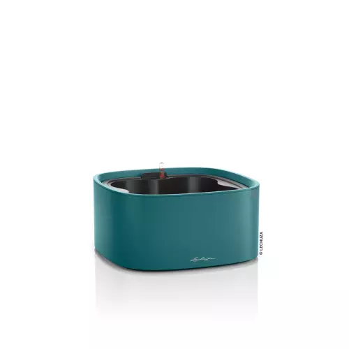 Misa na zioła Pila w turkusowym kolorze