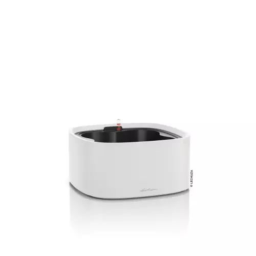 Misa na zioła Pila w jasnym szarym kolorze