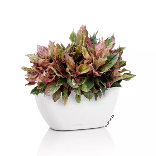 Biała doniczka Lechuza NAVIO Color 10