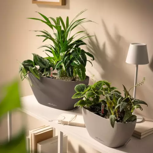 Doniczki LECHUZA NAVIO Color 20 muszkatołowy brąz i NAVIO Color 10 piaskowy brąz