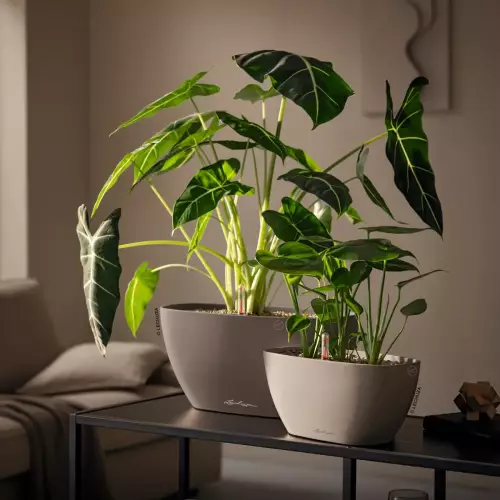 Doniczki NAVIO Color 10 i NAVIO Color 20 w kolorze muszkatołowy brąz