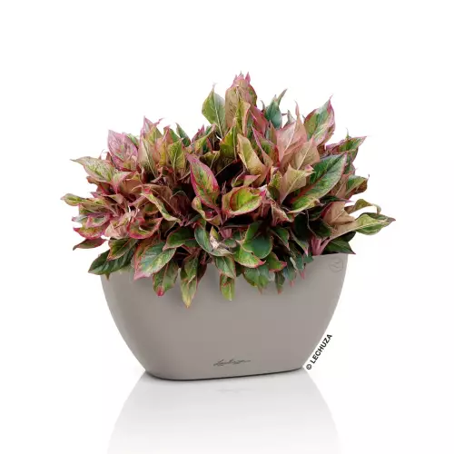 Doniczka Lechuza NAVIO Color 10 w kolorze piaskowy brąz