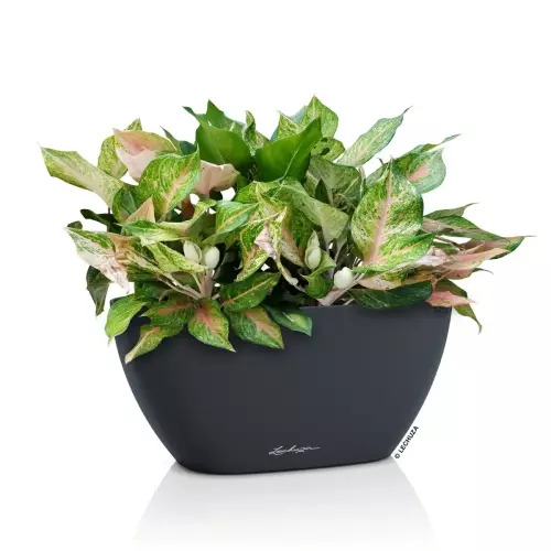 Doniczka NAVIO Color 20 w kolorze szary łupek