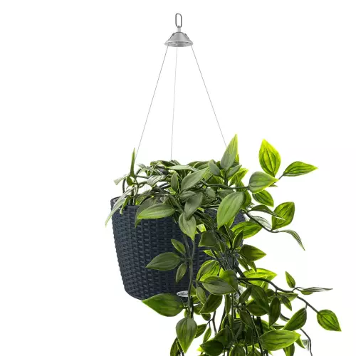 Czarna doniczka Lechuza NIDO Cottage z trzykrotką