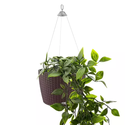 Brązowa doniczka Lechuza NIDO Cottage z trzykrotką