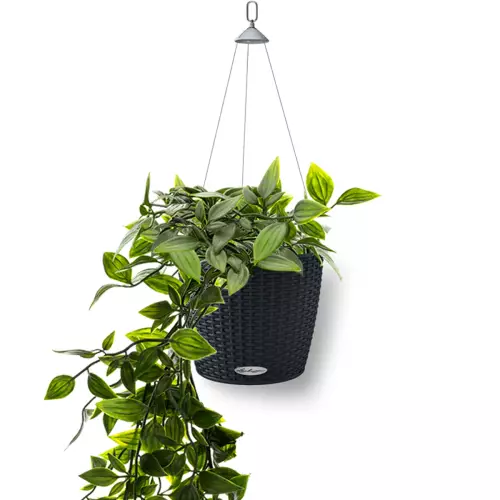 Doniczka Lechuza NIDO Cottage grafitowy czarny z trzykrotką