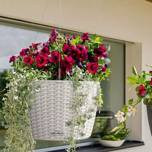 Surfinie w donicy Lechuza NIDO Cottage 28 jasny szary