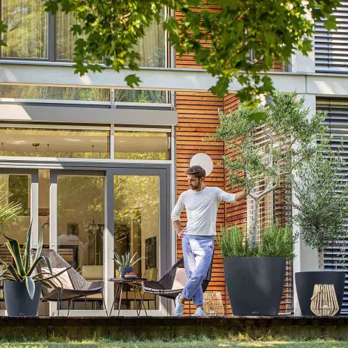 Drzewko oliwne i rozmaryn w szarej donicy CLassico Color 60