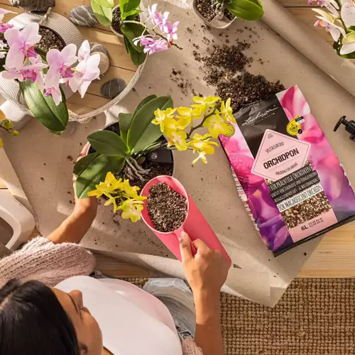 Podłoże do storczyków Lechuza ORCHIDPON 3 litry