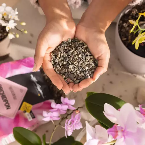 Podłoże do storczyków Lechuza ORCHIDPON 3 litry