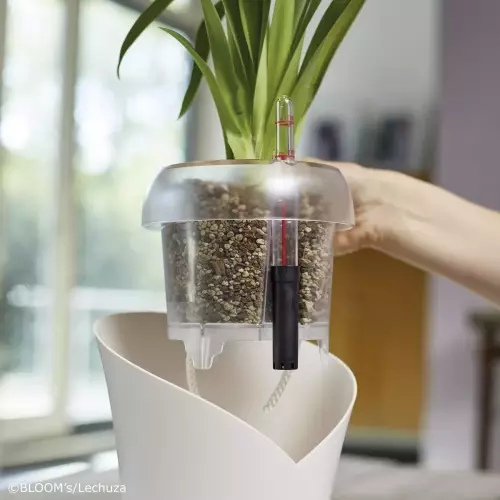 Lechuza Orchidpon idealnie sprawdza się w doniczkach do storczyków Orchidea