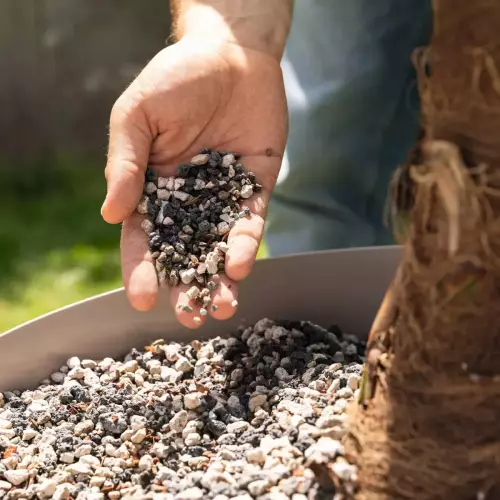 Wysokiej jakości gotowa mieszanka podłoża do palm Lechuza PALMPON