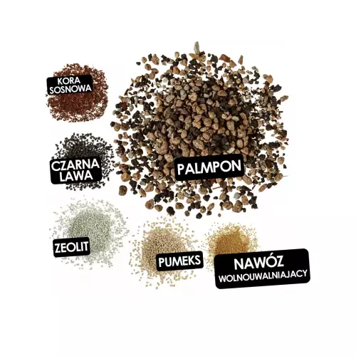 Skład podłoża do palm Lechuza PALMPON