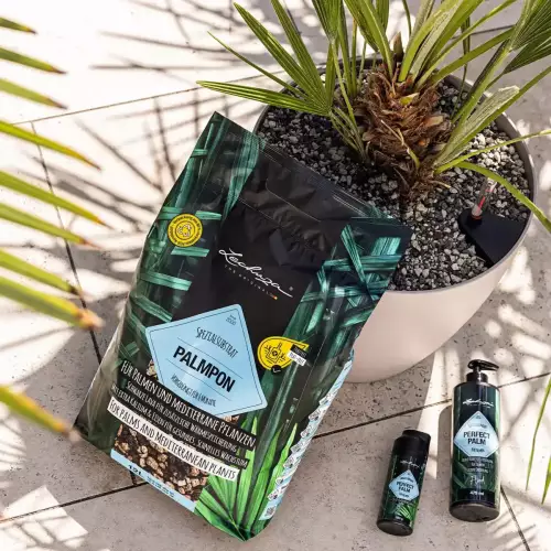 Ziemia do palm Lechuza PALMPON