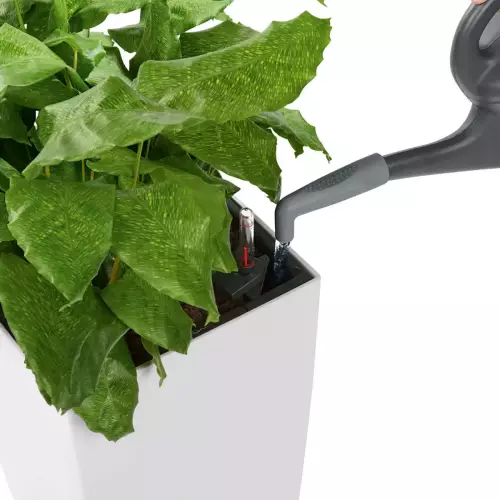 Szara nasadka na konewkę PICO - podlewanie