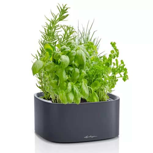 Misa na zioła Pila w ciemnym szarym kolorze z ziołami