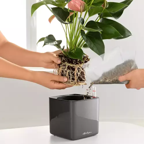 Dno dodatkowe do doniczek Lechuza