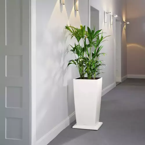 Elegancka i perfekcyjnie wykonana podstawa z kółkami Lechuza