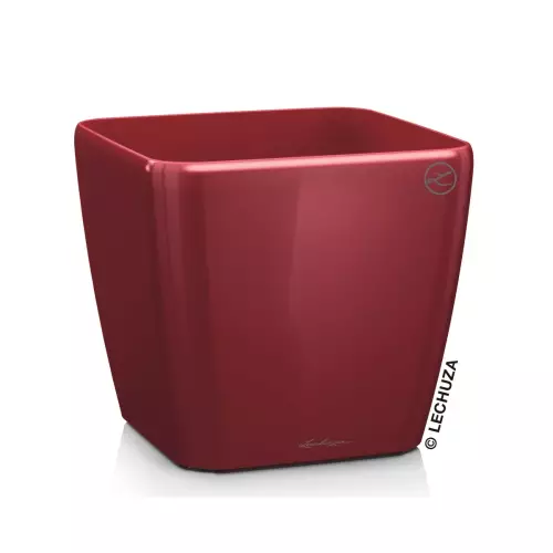 Donica Lechuza Quadro LS 50 w kolorze czerwony połysk