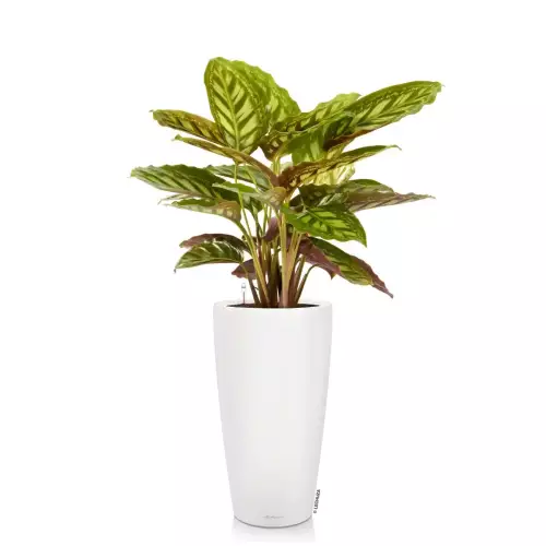 Donica Lechuza Rondo 40 biały mat