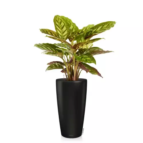 Donica Lechuza Rondo 40 czarny mat