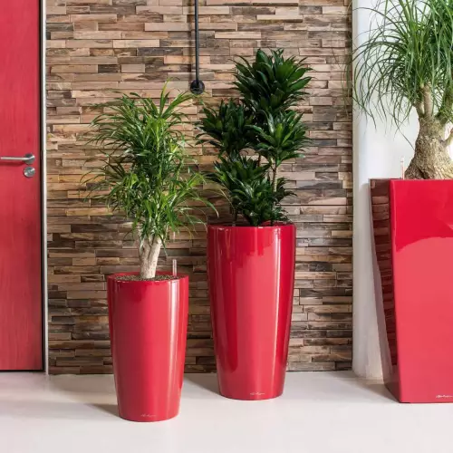 Czerwone donice Lechuza Rondo 32 i 40