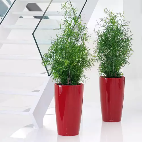 Czerwona donica Rondo na klatce schodowej