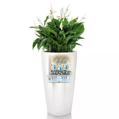 Schemat działania systemu nawadniającego