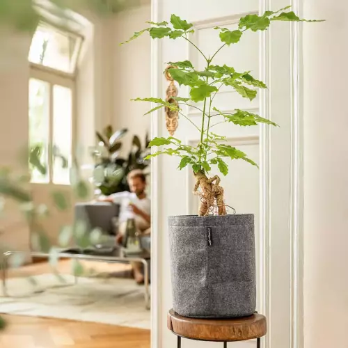 Doniczka Trendcover 23 ciemnoszary filc