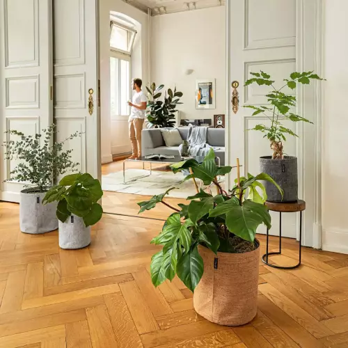 Doniczki Lechuza Trendcover filc i korek w salonie