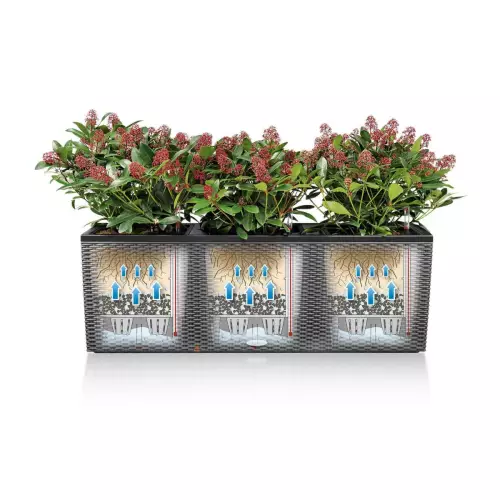 Schemat funkcjonowania systemu nawadniania w donicy Trio Cottage 30