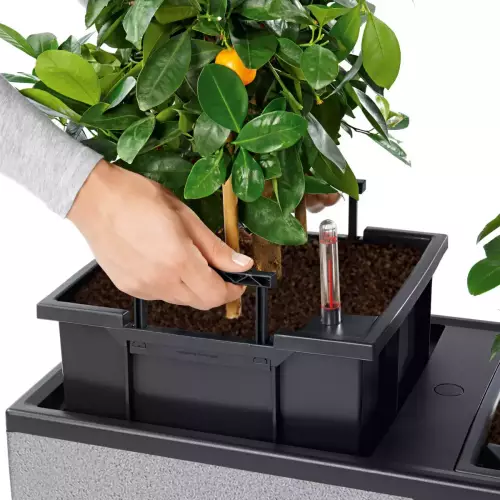 Donica Trio posiada trzy wyjmowane wkłady z nawadnianiem