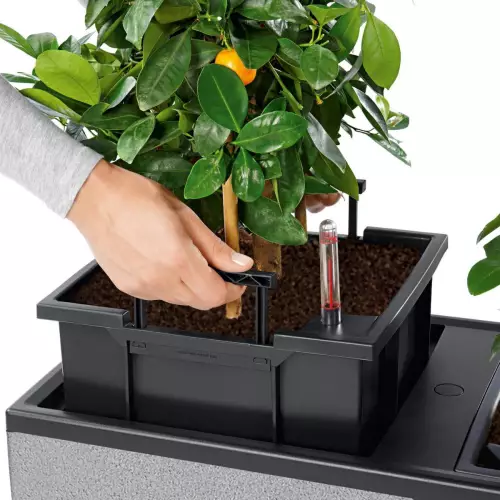 Donica Trio posiada trzy wyjmowane wkłady z nawadnianiem