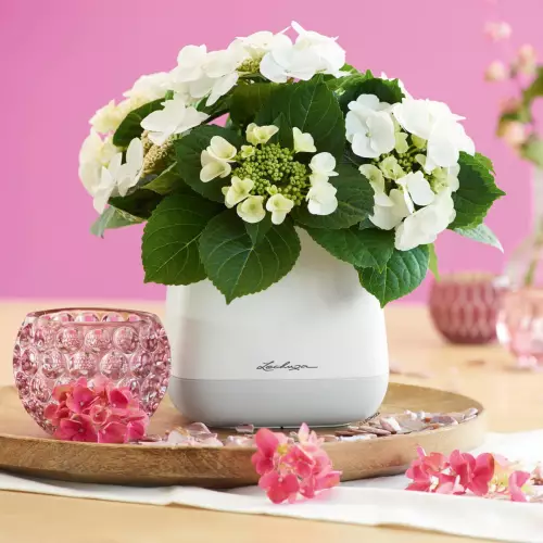 Doniczka YULA biało-szara z hortensjami