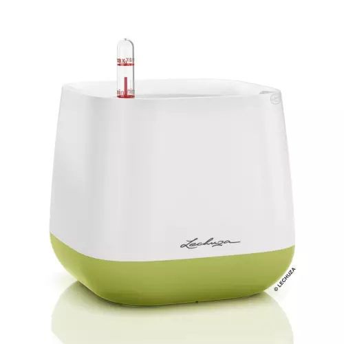 Doniczka Lechuza YULA biało-limonkowa