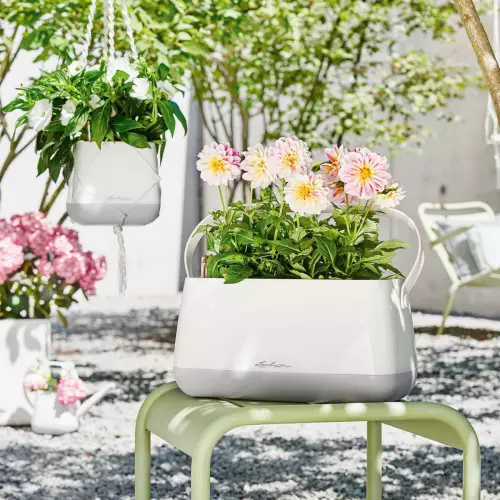 Torba Lechuza YULA w kolorze biało-szarym i dalje