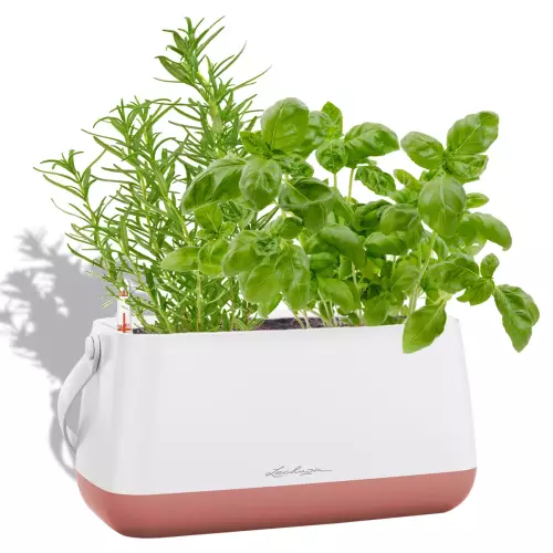 Zioła w biało-złoto perłowej donicy Lechuza Yula w kształcie torby