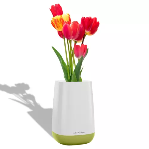 Tulipany w biało-limonkowym wazonie YULA