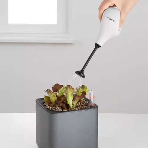 Zraszacz Lechuza FLOWER SHOWER jasny szary