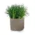 Trawa w beżowej donicy Cube Cottage 30