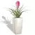 Bromelia w białej donicy Cubico Premium 22