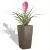 Bromelia w donicy Cubico Premium 22 taupe